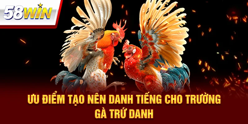 Trường Gà Savan