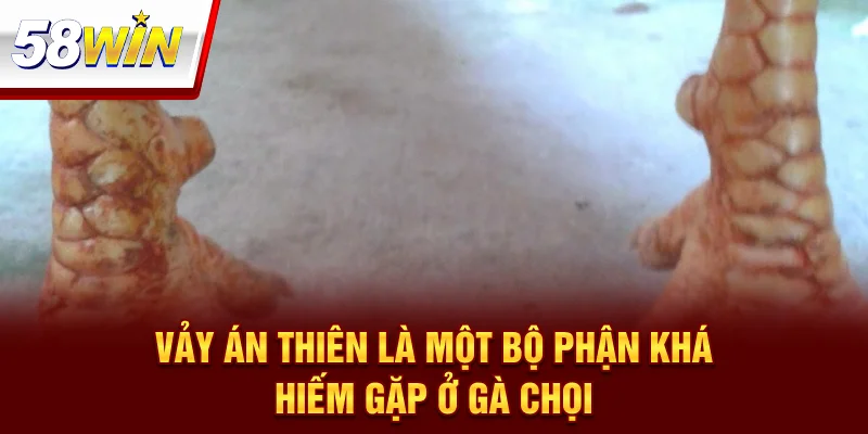 Vảy án thiên